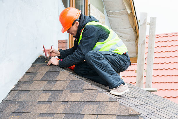 Best Roof Gutter Cleaning  in Las Campanas, NM